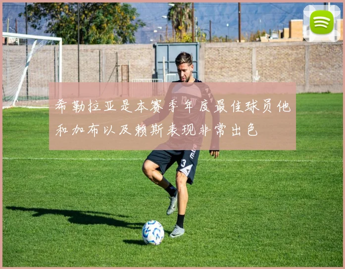 希勒拉亚是本赛季年度最佳球员他和加布以及赖斯表现非常出色