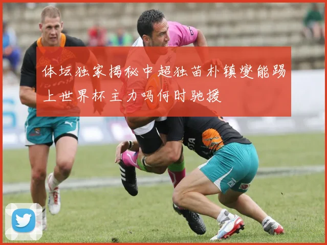 体坛独家揭秘中超独苗朴镇燮能踢上世界杯主力吗何时驰援